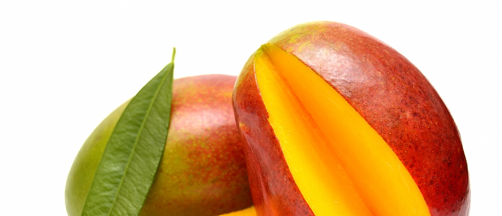 MUZ & MANGO OLGUNLASMA DURUMU